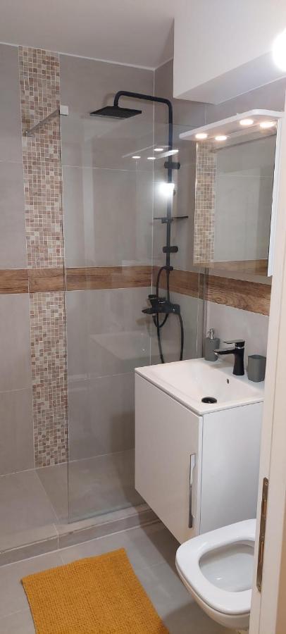 University Apartment Baia Mare Extérieur photo
