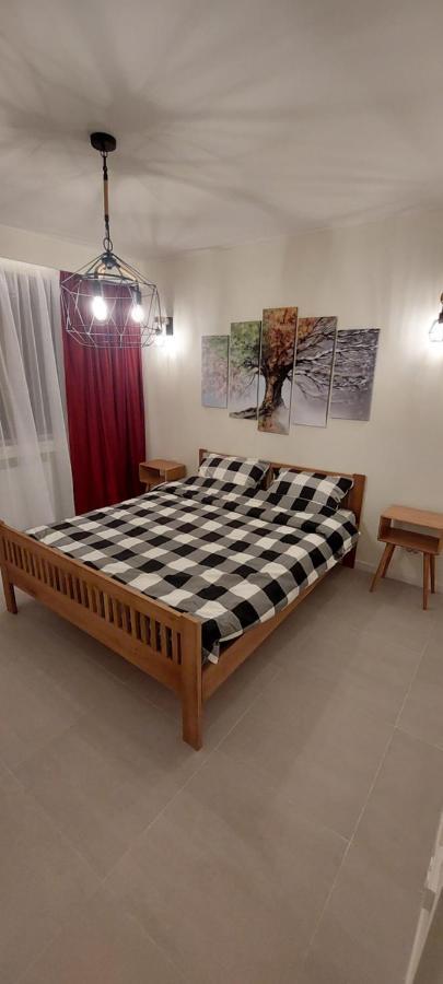 University Apartment Baia Mare Extérieur photo