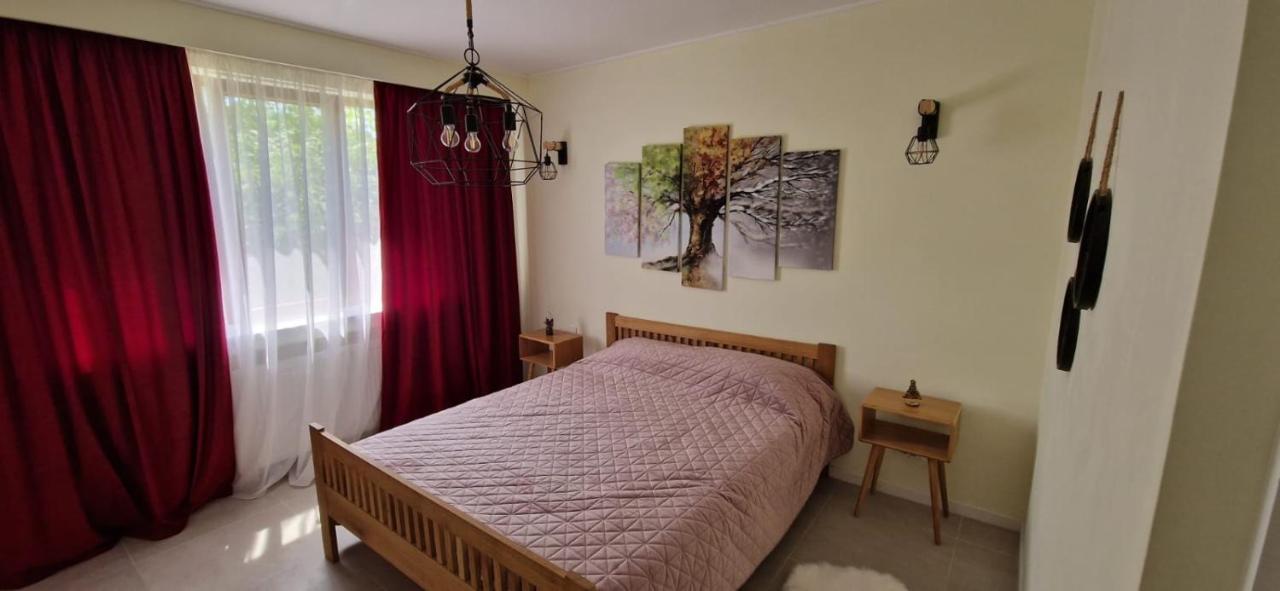 University Apartment Baia Mare Extérieur photo